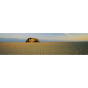 Lé horizontal zen traces sur le sable