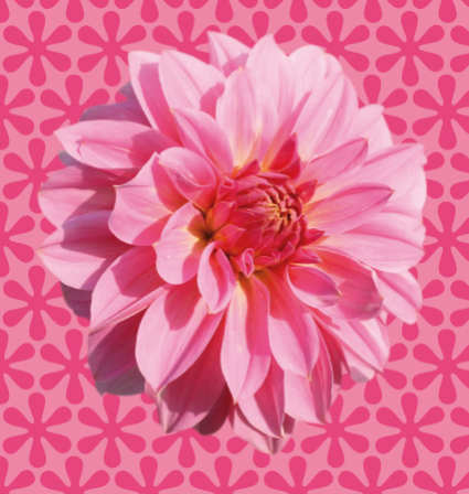 Stickers Interrupteur Pink Flower