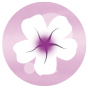 badge fleur rose