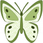 Stickers Papillon aux tons verts