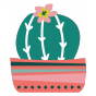 Stickers Plantes - Cactus boule - Corail