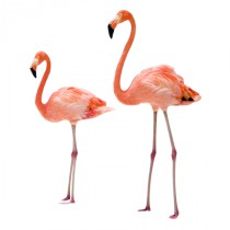 Stickers flamants roses 1