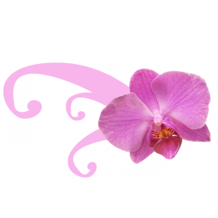 Stickers Orchidée design