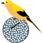 Stickers oiseau jaune