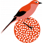Stickers oiseau orange et sa boule