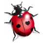Stickers coccinelle girly rouge