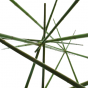 Magnet zen bambous