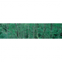 Lé horizontal texture de forêt