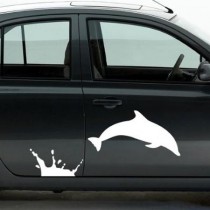 Stickers voiture dauphin splash