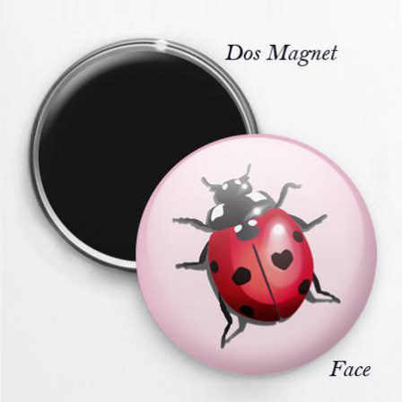 Magnet coccinelle girly