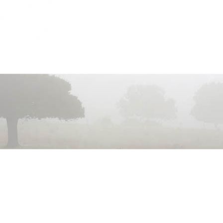 stickers TETE DE LIT horizontal les arbres dans la brume