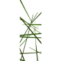 stickers PORTE vertical bambous