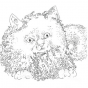 badge dessin chat persan