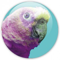 badge pop art perroquet sur fond turquoise