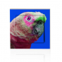 stickers interrupteur pop art perroquet sur fond bleu
