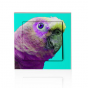 stickers interrupteur pop art perroquet sur fond turquoise