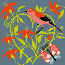 Poster Oiseau orange collection nature 1