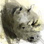 Toile Afri K rhino