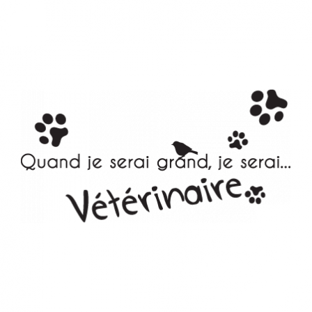 Stickers JE SERAI Vétérinaire H