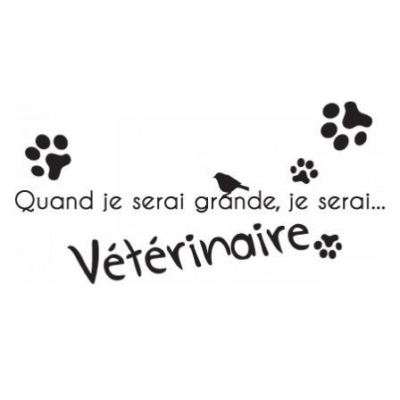 Stickers JE SERAI Vétérinaire F