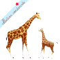 Bavoir bébé girafe