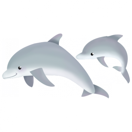 stickers dauphins