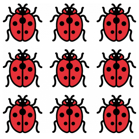 Stickers Coccinelles