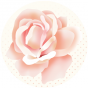 Badge - Collection les Fleurs- Rose #1
