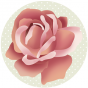 Badge - Collection les Fleurs- Rose #2