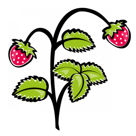 stickers fraises des bois