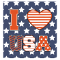 Stickers INTERRUPTEUR USA