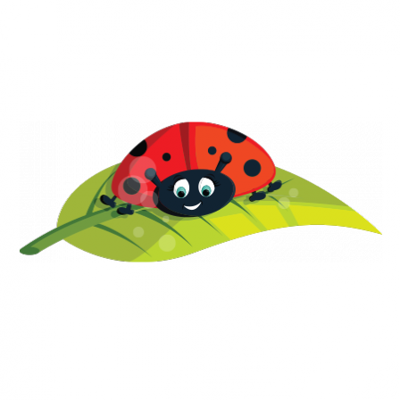 Stickers Coccinelle ma belle