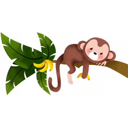 Stickers Collection Jungle - Le petit singe sur la branche