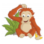 Stickers FAMILLE SINGE Orang outan