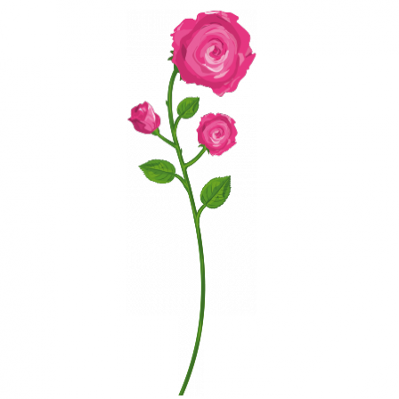 Stickers Roses