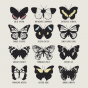 Tableau Déco Douze Papillons