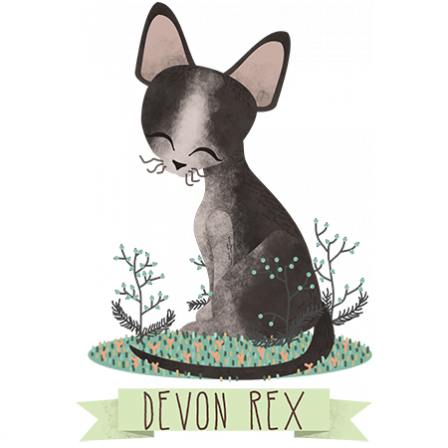 Stickers Chats de Race - Devon Rex