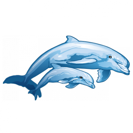 Stickers Les dauphins