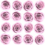 Stickers Adorable 16 roses