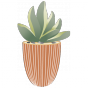 Stickers carré plante succulente