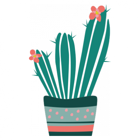 Stickers Plantes - Cactus cierge - Corail