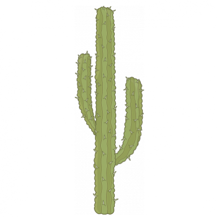 Stickers Cactus