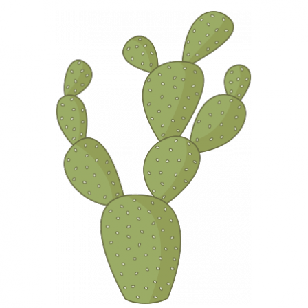 Stickers Cactus raquette