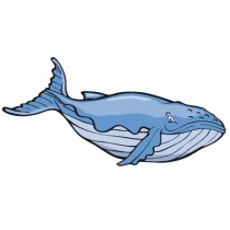 Stickers baleine 1