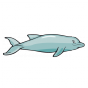 Stickers dauphin enfantin