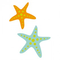 Stickers étoile de mer