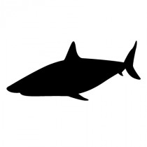 Stickers requin silhouette