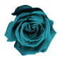 Stickers rose turquoise