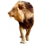 Stickers lion 1