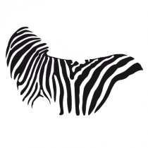 Stickers rayure zebre